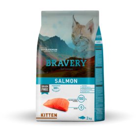 BRAVERY Salmon Kitten ברוורי לגורי חתולים סלמון