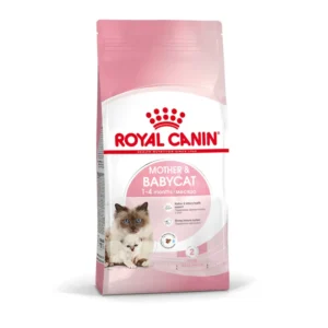 Royal Canin  מזון יבש לחתולה הרה/מניקה וגורים