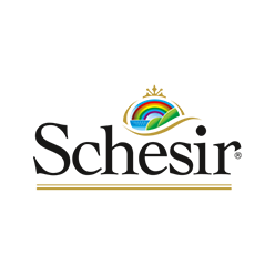 Schesir
