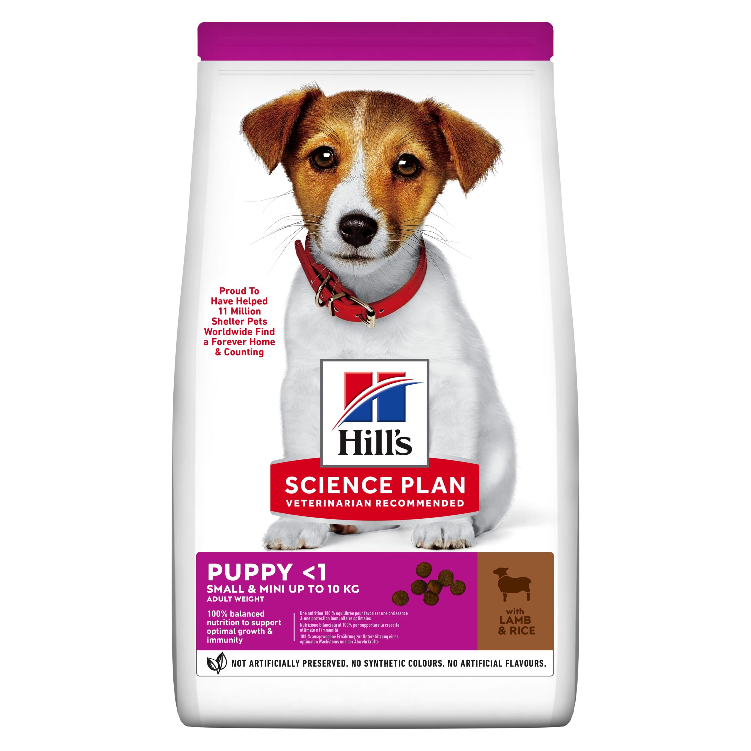 Hill's Dog Small & Mini Puppy with Lamb & Rice 3 kg הילס לגורי כלבים מגזע קטן עם כבש ואורז 3 קג